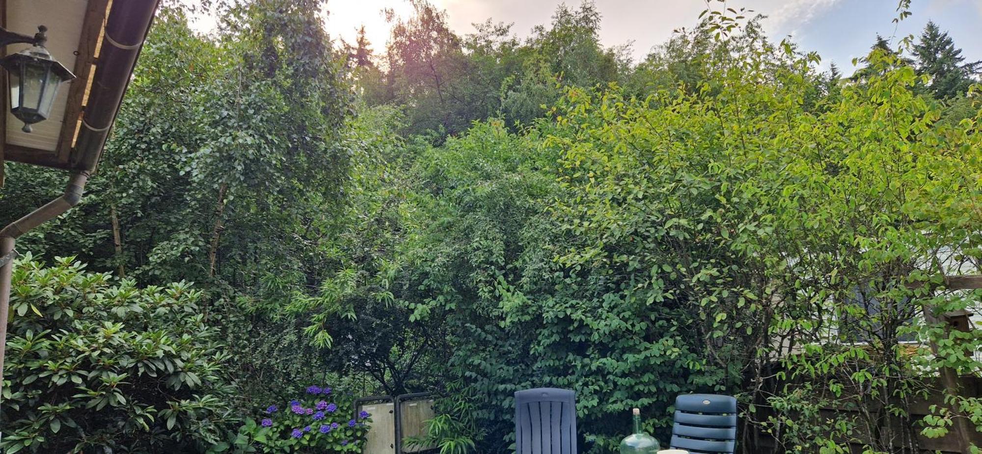 Bush Temple Villa Havelte Exteriör bild